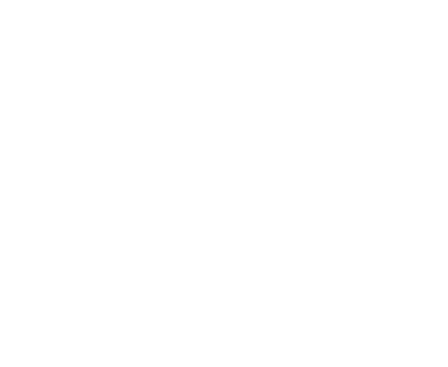 AlemNet